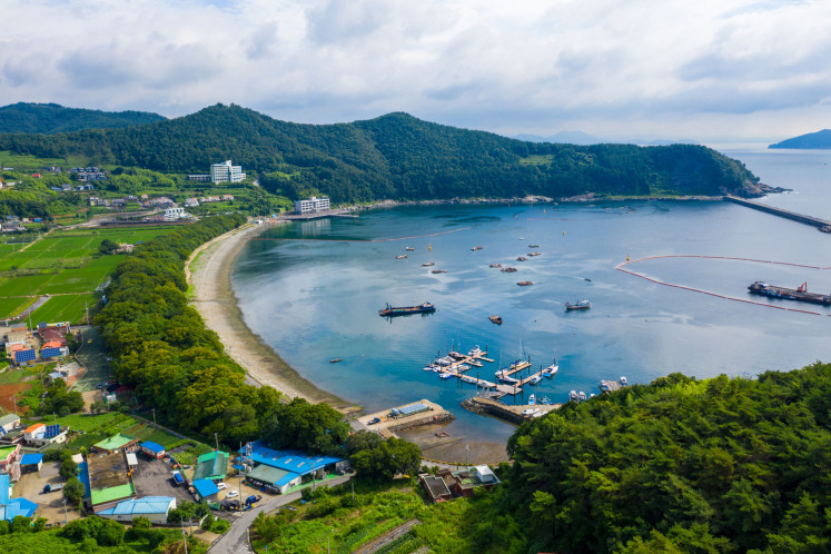 Mulgeon Windbreak Forest Namhae