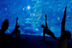 People take part in a yoga class at Ocean Park's aquarium, as a new activity to attract visitors amid a drop in tourists due to the coronavirus disease (COVID-19) outbreak, in Hong Kong, China, on October 8, 2020. 