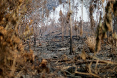 A burning tract of the Amazon jungle is seen near Apui, Amazonas State, Brazil, on August 11, 2020.