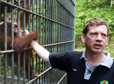 Orangutan conservationist active in Sumatra honored by Queen Elizabeth