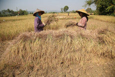 Explainer: How Job Creation Law impacts agriculture 