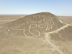 Undated handout picture released by the Peruvian Ministry of Culture, showing a giant cat figure etched into a slope at the UNESCO world heritage site in the desert near the town of Nasca in southern Peru, after its was discovered by archaeologists and the area was cleaned as the geoglyph was barely visible and about to disappear due to erosion. 