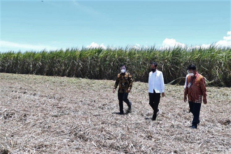 President Joko "Jokowi" Widodo (center), PT Prima Alam Gemilang Andi sugar factory owner Syamsuddin Arsyad (left) and former Agriculture Minister Amran Sulaiman (right) visit a sugar cane plantation in Bombana regency, Southeast Sulawesi, in October 2020. 