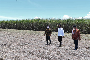 Bahlil leads task force to boost sugar, bioethanol production in Papua