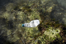Amount of plastic dumped in Med to double in 20 years: Report