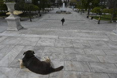 Greece makes animal abuse punishable by up to 10 years jail