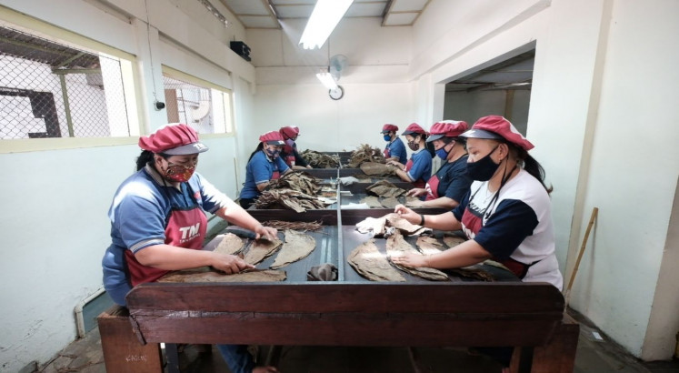 Yogyakarta cigar manufacturer rolls over a century of craftsmanship