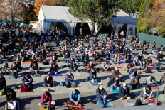 Austria's Muslims wary of backlash after attack 