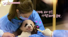 Agency cancels release of BLACKPINK panda footage after Chinese netizens complain