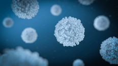 High levels of so-called T cells that respond to the coronavirus could be sufficient to offer protection against infection, adding to the evidence of the crucial role they play in immunity to COVID-19.