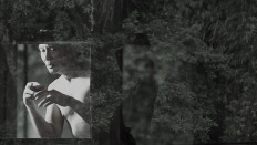 Serenity: Indonesian dancer Martinus Miroto performs 'Sadhana', which shows the interaction between humans and nature. The direct-to-video performance was part of the Layar Terkembang (Billowing Sails) program at IDF2020.zip.