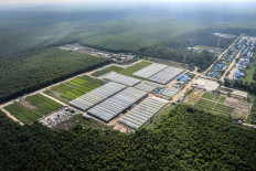 How innovation can make the forestry sector more sustainable