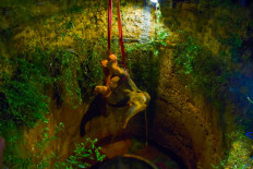 Jumbo task: Elephant hoisted from deep well in India