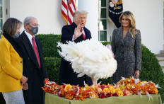 Lame duck Trump pardons turkey but dodges elephant in room 