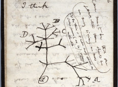 Charles Darwin notebooks 'stolen' from Cambridge University