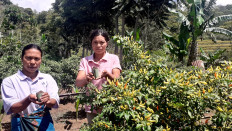 Fantiana Jemina (left) and Maria Sedis show vegetable seeds on a plot of land cultivated during the pandemic to help their families in Kampung Tilir in Borong district, East Manggarai in East Nusa Tenggara.