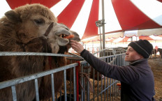 When the circus can't leave town: French family show stranded in Belgian car park