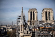 First oaks felled for Notre Dame cathedral rebuild