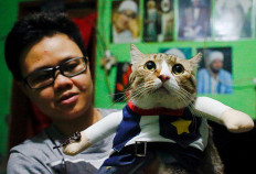 Risma Sandra Irawan, 31, carries her cat wearing a cosplay costume, in Jakarta, Indonesia, on November 29, 2020. 