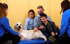 Wagging tails: Therapy dog cheers Spanish special-needs kids during COVID