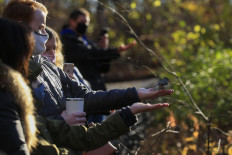Bird watchers feed Tufted Titmouse birds during a tour offer by Robert DeCandido also known as 'Birding Bob' in Central Park, New York on November 29, 2020. 