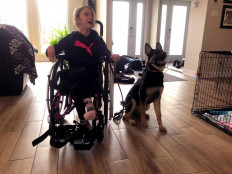 In Canada demand for puppies soars during pandemic, so do scams