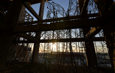 IS built up arsenal after 'red flags' ignored: Study 