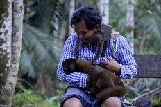 Saving the Amazon's orphan monkeys
