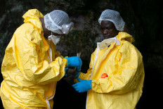 Virus hunters delve into Gabon forest in search for next threat 