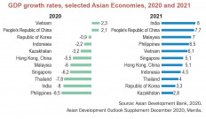 [INSIGHT] Colossal economic pain accelerates digital transformation