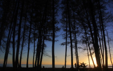 Outlook 2021: Tourism recovery banks on outdoor recreation, domestic market