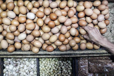 Fragile situation: A vendor handles eggs on Tuesday at Tebet Barat Market in South Jakarta. 