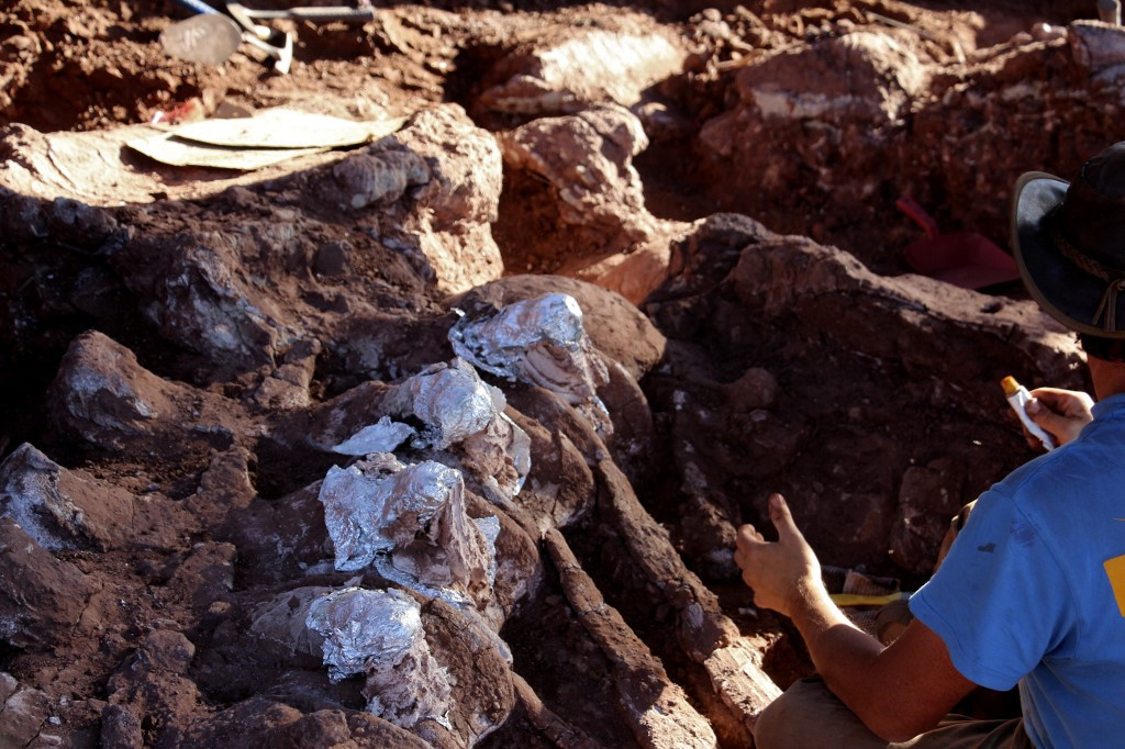 New Patagonian dinosaur may be largest yet: scientists - Science & Tech -  The Jakarta Post