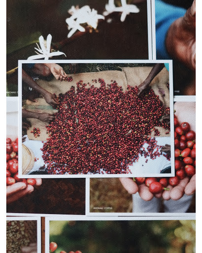 Full of beans: Postcards are some of the merchandise on offer at Anomali Coffee, an Indonesian coffee roasting company that has diversified to cover all sectors of the industry.