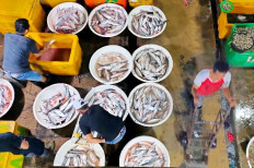Ebb and flow: Traders sort their catches at the Muara Angke Wholesale Fish Market in North Jakarta on Jan. 23, 2021. The period between December and January is a low fishing season, but fishermen and traders know that these difficult times will not last.