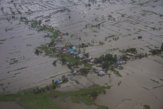 Floodwaters inundate rice fields in Banjar regency on Jan. 28, 2021, after weeks of heavy rainfall in South Kalimantan. The South Kalimantan Disaster Mitigation Agency (BPBD) records show that the weather disaster left 48,714 hectares of rice fields flooded in 11 out of 13 regencies in the province.