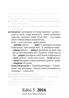 Defining 'woman': Dictionary entry fans flames of sexist furor in Indonesia