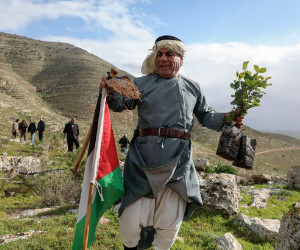 Palestinians replant trees after Israel uproots thousands