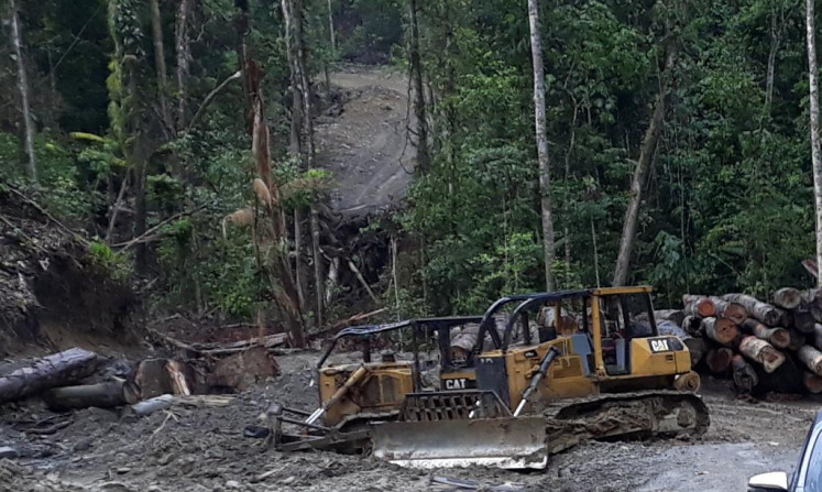 This undated handout photo shows two bulldozers and logs of various varieties and sizes seized by investigators with the Environment and Forestry Ministry's law enforcement division in an alleged illegal logging case in Sabuai village, Eastern Seram regency, Maluku.