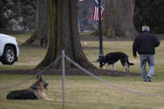 From the White House to the dog house: Biden's pooches sent home after 'biting incident'
