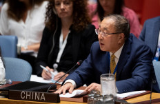  China seeks 'democratic transition', but no sanctions, on Myanmar 