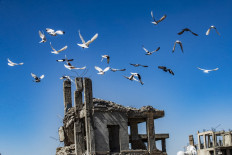  A decade of war in Syria killed over 388,000: monitor 