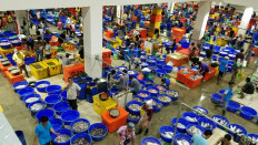 Fishery SOEs eye robust growth after planned merger this year