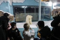 People take photos of a polar bear inside an enclosure at a newly-opened hotel, which allows guests views of the animals, which are listed as a vulnerable species by the International Union for Conservation of Nature (IUCN)