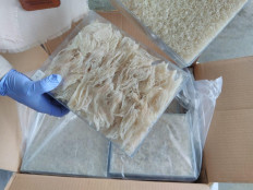 A worker holds up a packet of processed swallow’s nest at Ahmad Yani International Airport in Semarang, Central Java, on Saturday, Jan. 4, 2020. The packets were headed for Hong Kong ahead of a demand spike nearing Chinese New Year.