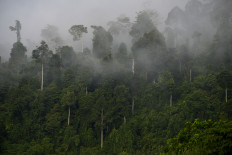 Tantangan masa depan dan implementasi perdagangan karbon Indonesia