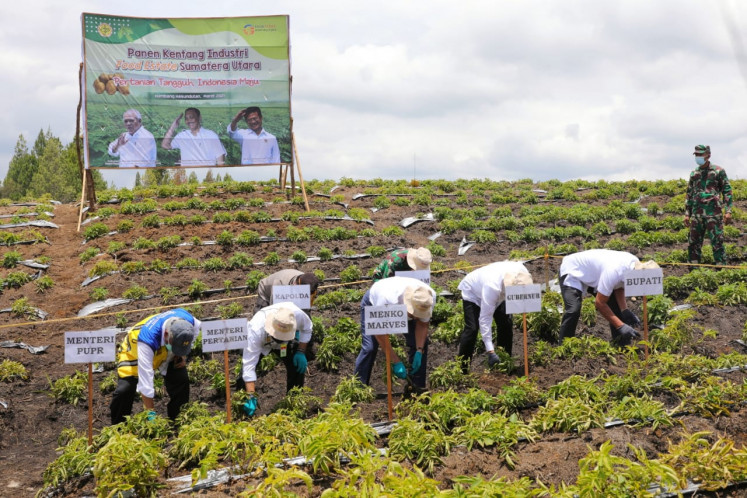 Ministers and officials bent over, harvesting the first potatoes from a food estate in Humbang Hasundutan (Humbahas) regency, North Sumatra on March 23. (First row, left to right) Public Works and Housing Minister Basuki Hadimuljono, Agriculture Minister Syahrul Yasin Limpo, Coordinating Minister of Maritime Affairs and Investment Luhut Binsar Pandjaitan, North Sumatra Governor Edy Rahmayadi and Humbahas Regent Hasundutan Dosmar Banjarnahor.