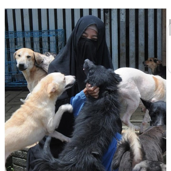 Suesti poses with some of her rescued dogs. She believes dogs should be loved even though their saliva is considered haram.