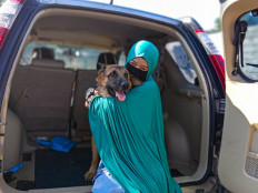 Muslim lady and the tramp: Meet the unlikely dog whisperer