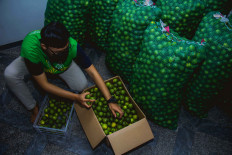 Indonesia remains one of the world's worst in managing food waste: Garda Pangan wants to change that